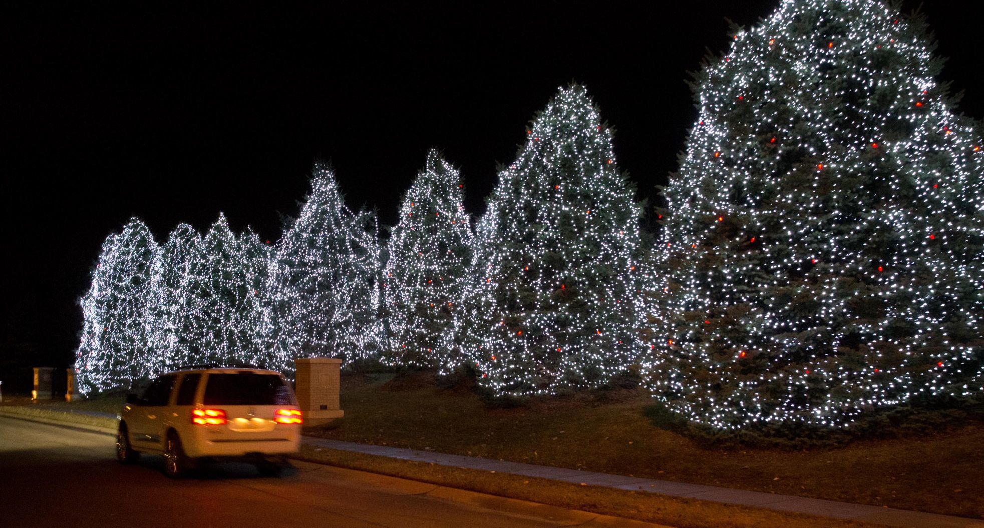 Christmas lights on display in the Linden Estates neighborhood near 135th and Hamilton Streets.